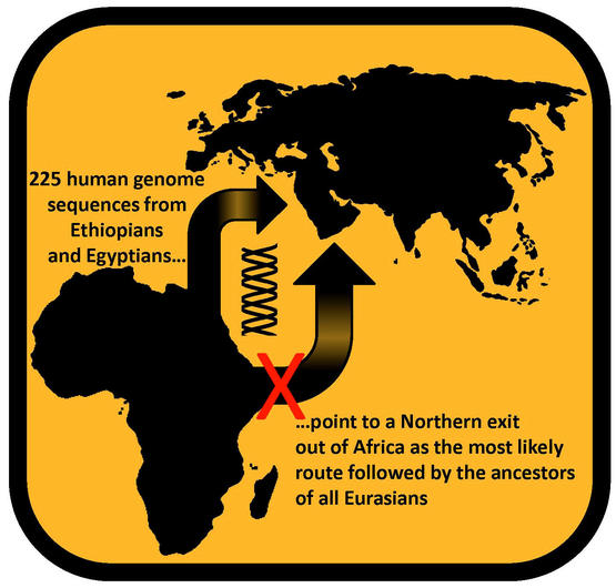 Human ancestors went from Africa to the world