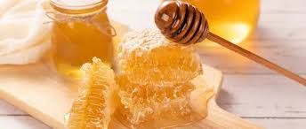 Does Stingless Bee Honey Have Special Health Benefits?