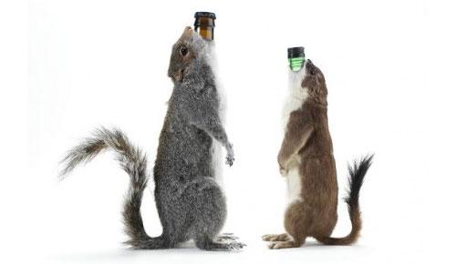 Squirrel beer, ant gin and poop wine