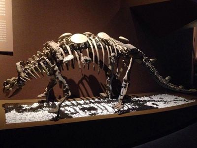 How to Know the Weight of Tyrannosaurus Rex?