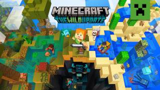 How Much do you Know About the Game Minecraft?